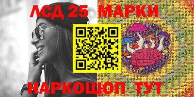 сатива Будённовск