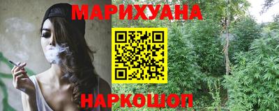 сатива Будённовск