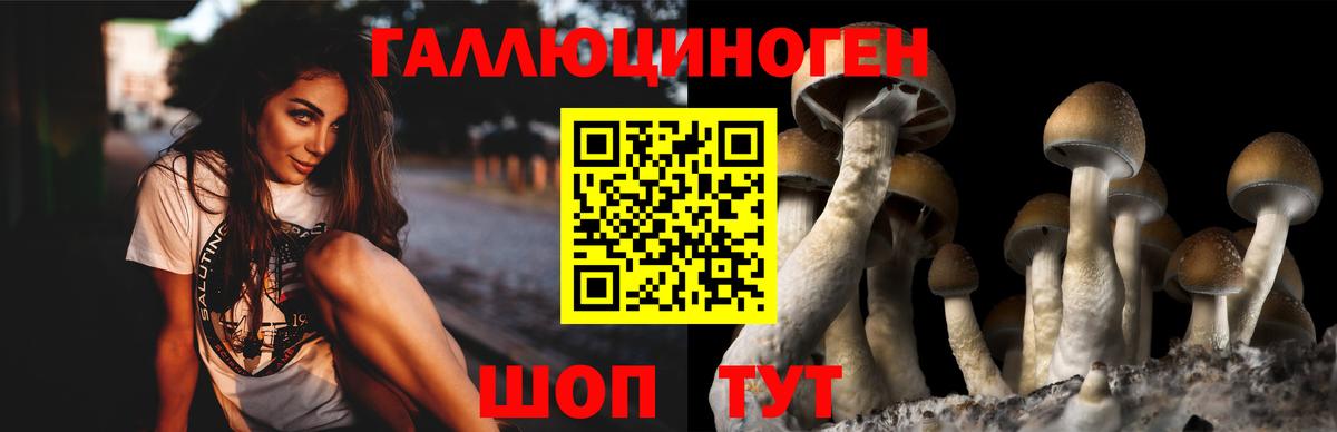 Копейск  Псилоцибиновые грибы мухоморы  Псилоцибиновые грибы Cubensis  Вход с VPN 